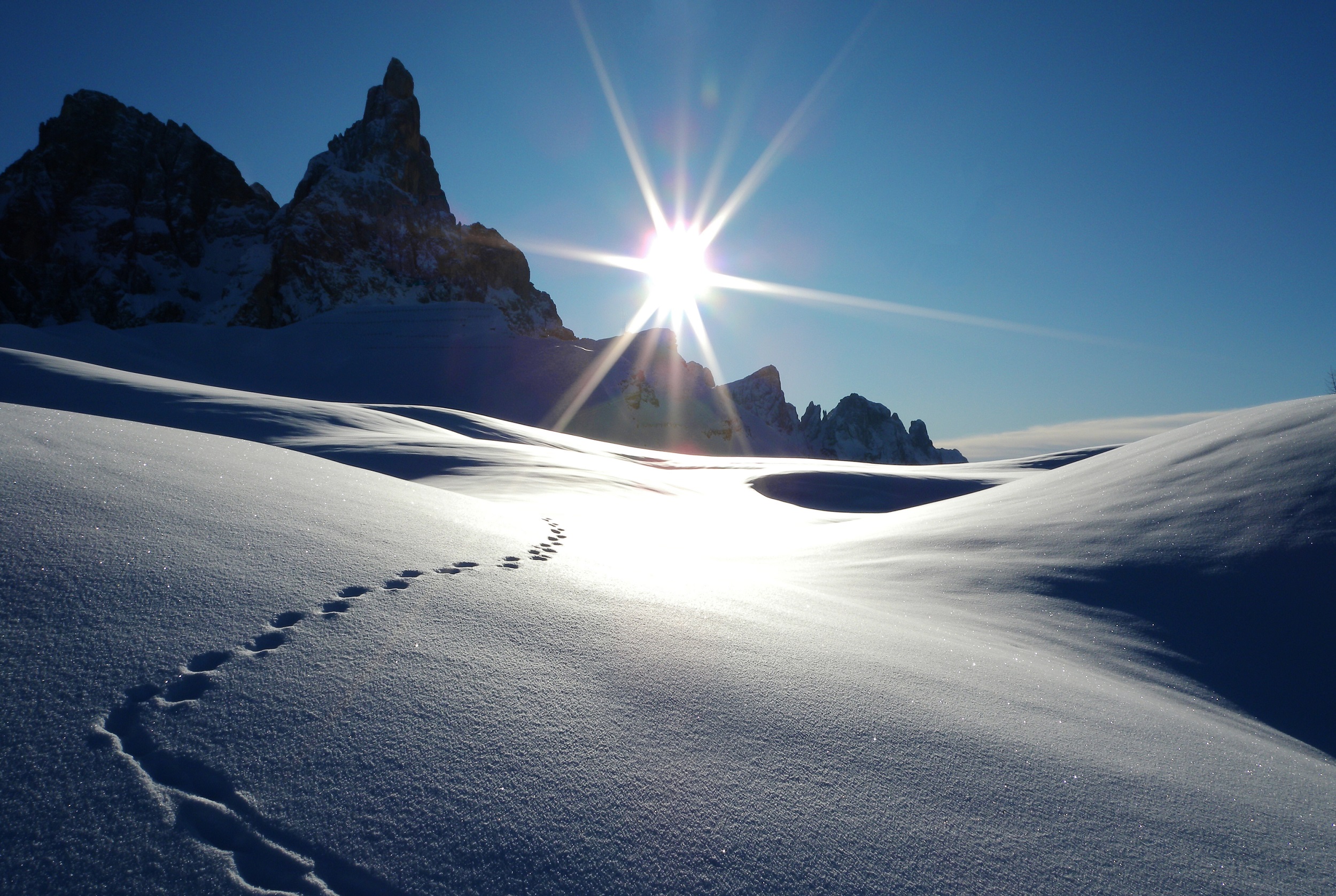 “Sentieri sotto la neve”: TORNA IL CONCORSO FOTOGRAFICO IN OMAGGIO A MARIO RIGONI STERN